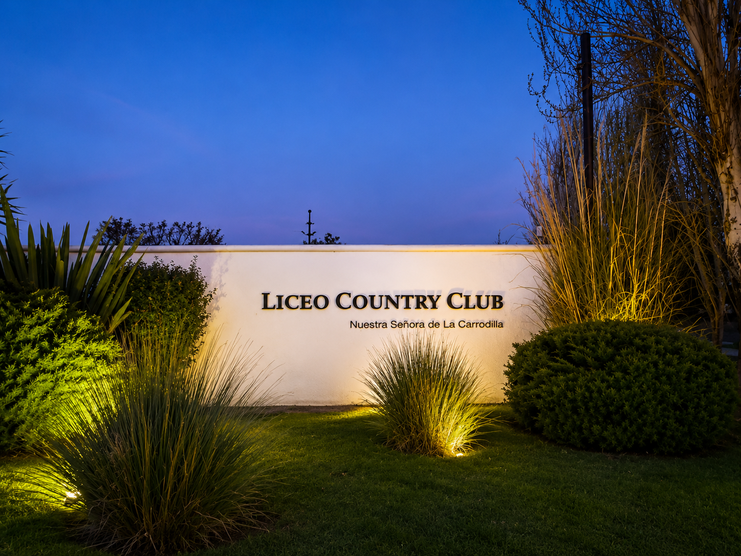 Liceo Rugby Club
